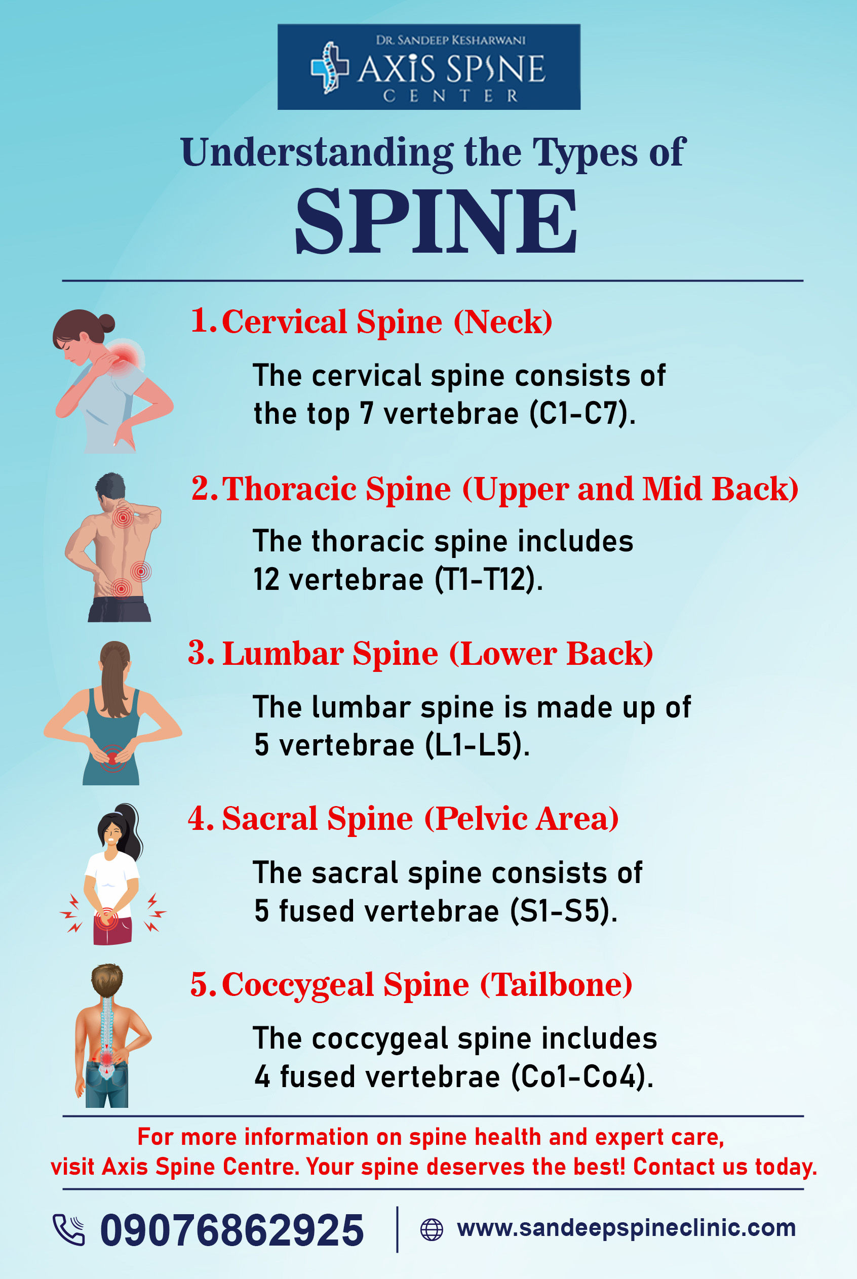 Understanding the Types of Spine